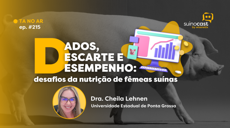 SuinoCast #215: Dados, descarte e desempenho: desafios da nutrição de fêmeas suínas – Dra. Cheila Lehnen
