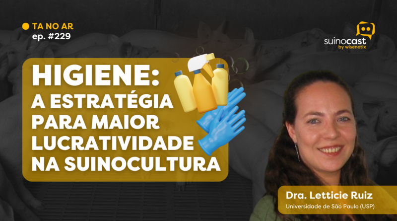 SuinoCast #229: Higiene: a estratégia para maior lucratividade na suinocultura