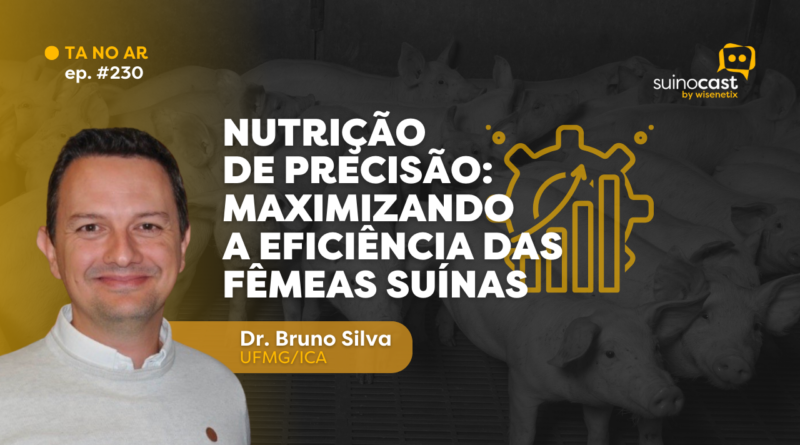 SuinoCast #230: Nutrição de precisão: maximizando a eficiência das fêmeas suínas – Dr. Bruno Silva