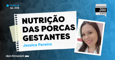 Suinocultura Faixa Preta –  Jessica Pereira: Nutrição das Porcas Gestantes | Ep. 38